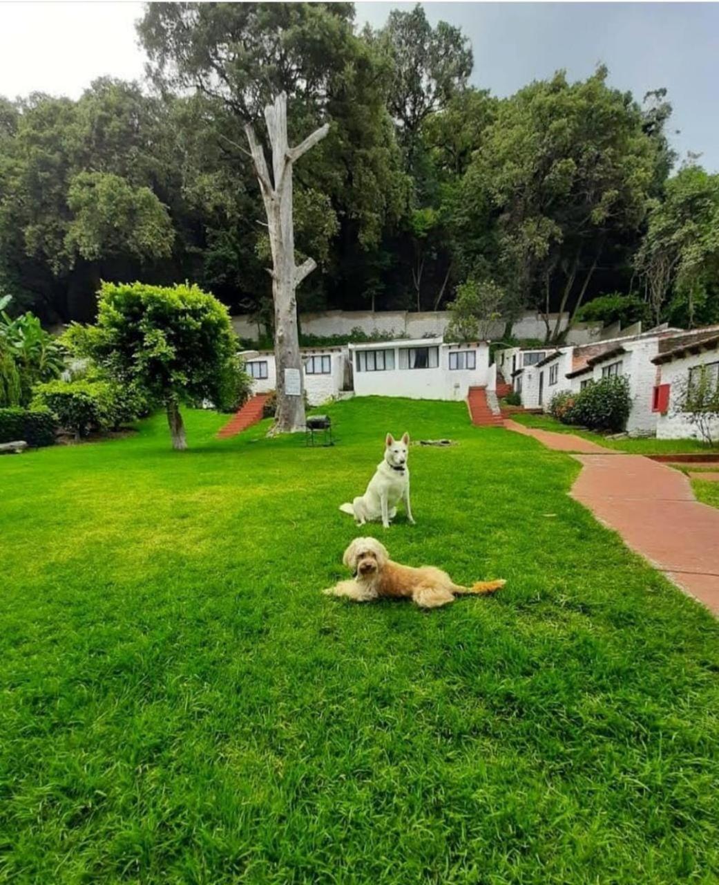 Hotel Club Santa Maria Cuernavaca Esterno foto